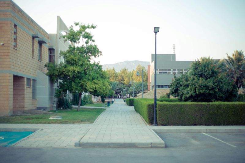 さくら未来学園 10